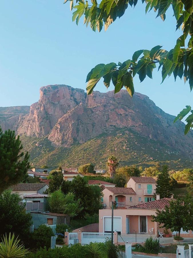 Du Gozzi Homestay Afa